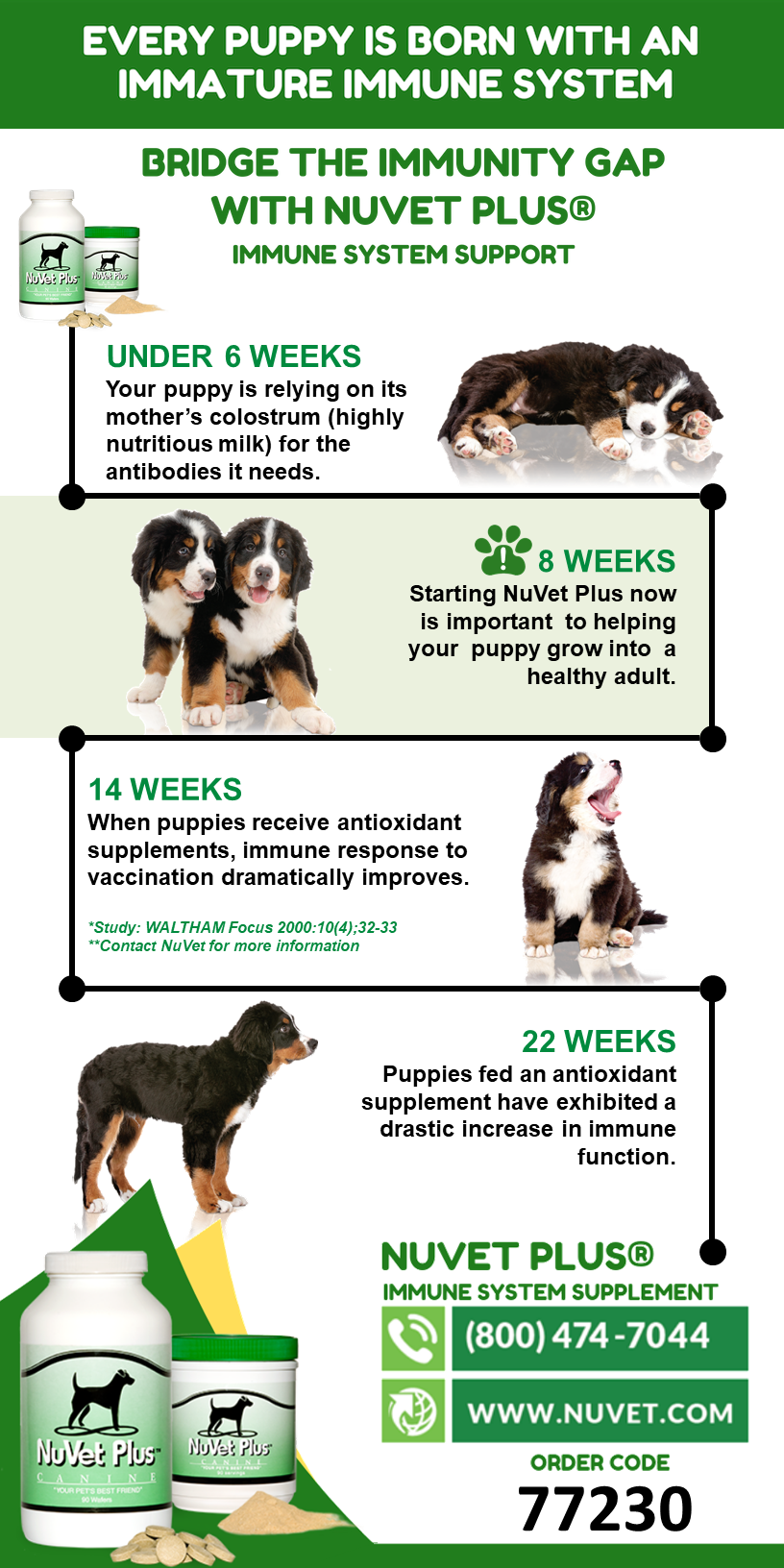 NuVet Supplements from Above and Beyond Standards Premier Breeder in North Carolina Above and Beyond Standards Top Rated Bernedoodle Goldendoodle AKC Standard Poodle Puppies in NC